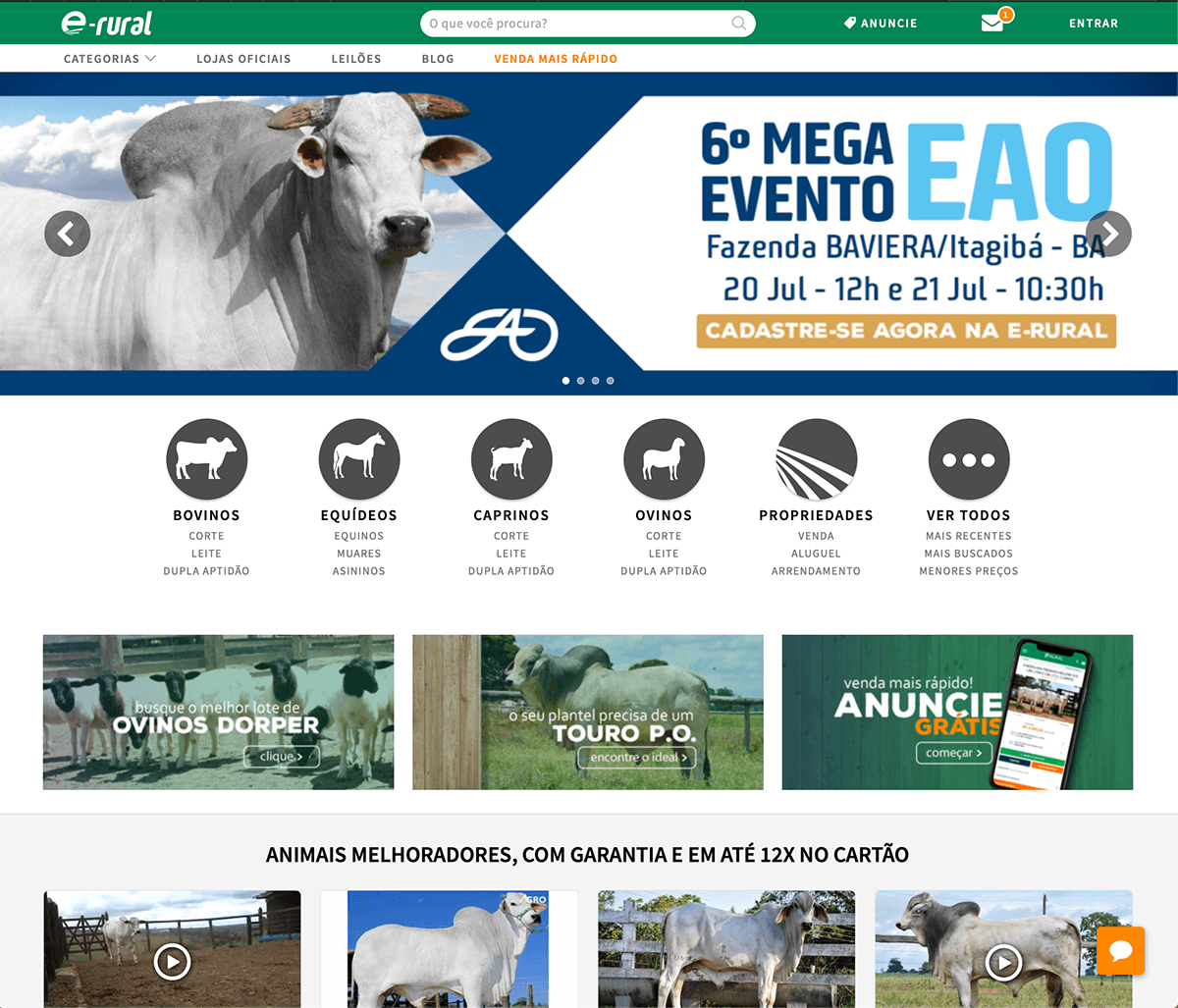 Home da e rural: leilão em destaque, categorias por espécie e finalidade, anúncios com garantia e parcelamento