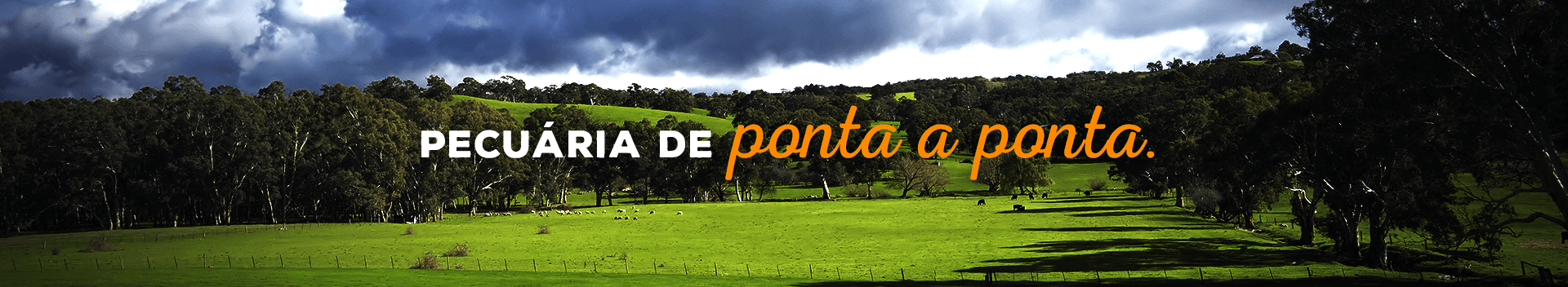 Pasto sob céu carregado com o lema da e rural: pecuária de ponta a ponta